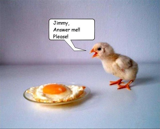 Mitch (Warmy) > Funny Pics photo